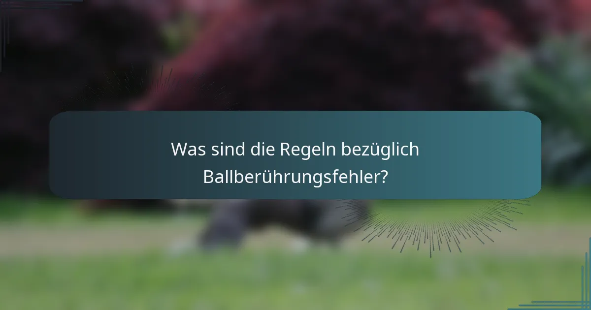 Was sind die Regeln bezüglich Ballberührungsfehler?