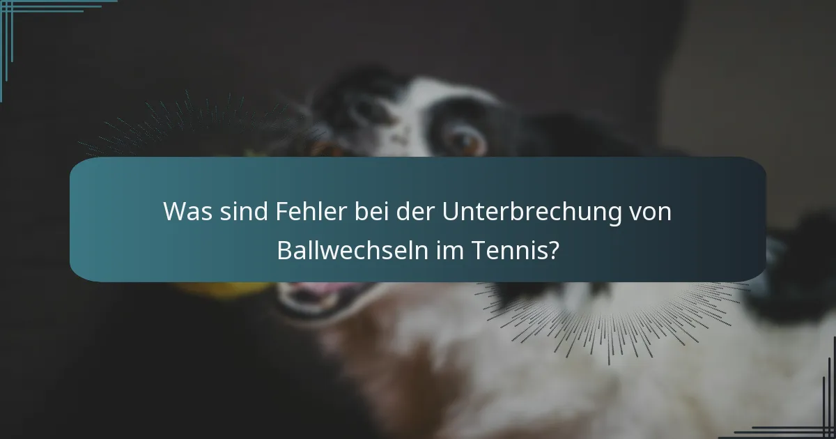 Was sind Fehler bei der Unterbrechung von Ballwechseln im Tennis?