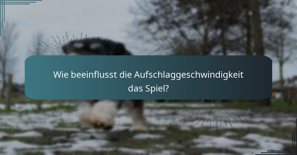 Wie beeinflusst die Aufschlaggeschwindigkeit das Spiel?
